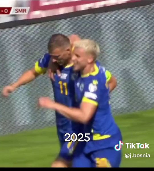 Captain Edin Dzeko will lead Bosnia's attack in the crucial qualifier.