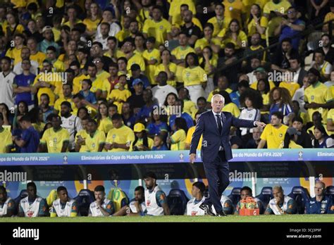 Carlo Ancelotti strategizing during the Brazil vs. Tunisia friendly match in Lille.