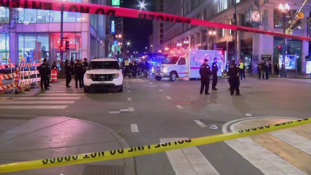 Chicago Loop Shooting Shatters Holiday Joy