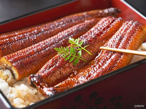 A Japanese delicacy featuring baby eels, the final destination in Haiti's illicit trade.