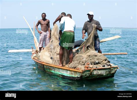 Fishermen risking their lives to catch glass eels in Haiti's crime-ridden waters.