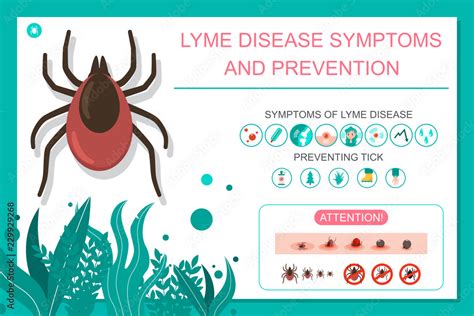 Understanding the risks and prevention methods for Lyme disease, a condition affecting nearly half a million Americans annually.
