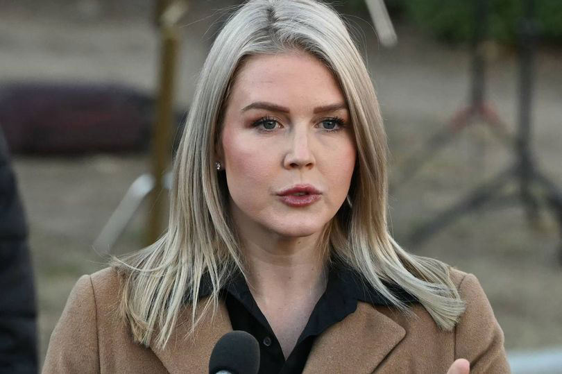 GoFundMe campaign page set up by Ferreira's sister to raise funds for her legal defense.