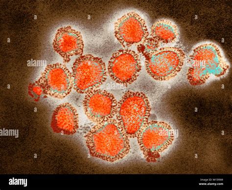 New Flu Strain 2025: What You Need to Know