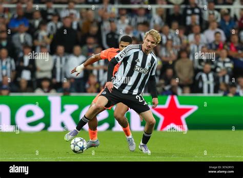 Nick Woltemade's Meteoric Rise