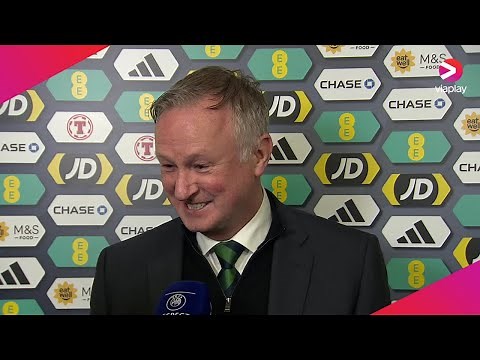 Northern Ireland manager Michael O'Neill during a previous international match