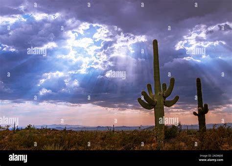 Phoenix Weather: Record Rainfall Meets Incoming Storms