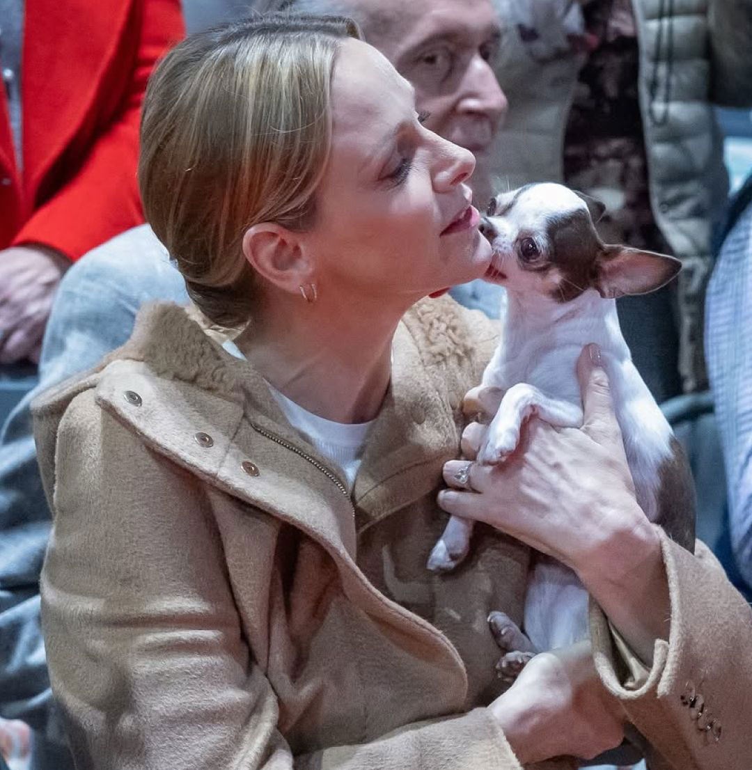 Princess Charlene with her eight-year-old rescue chihuahua, Harley, at the Rokethon event.