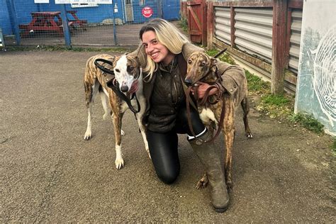 Rising Star: Carlin Wendt's Greyhound Success