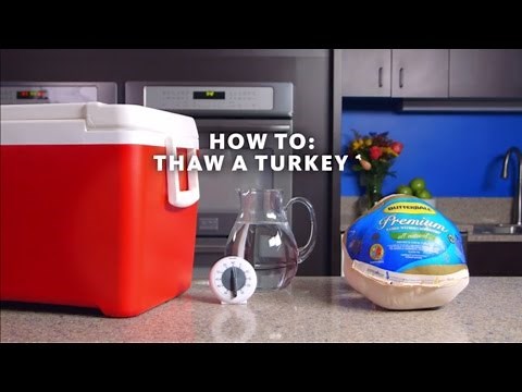Safe Turkey Thawing: Your Thanksgiving Guide
