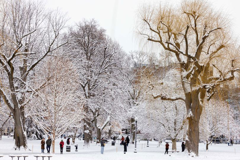 Snow Storm Forces MA, NH School Closings