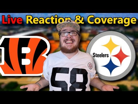 The intense rivalry between the Steelers and Bengals was on full display.