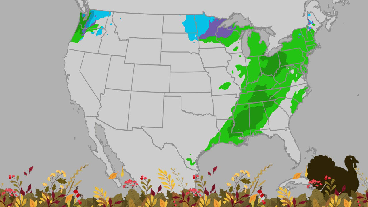Thanksgiving Travel Weather Forecast 2025