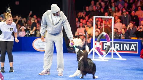Tyrese Maxey navigating the agility course at the 2025 National Dog Show.